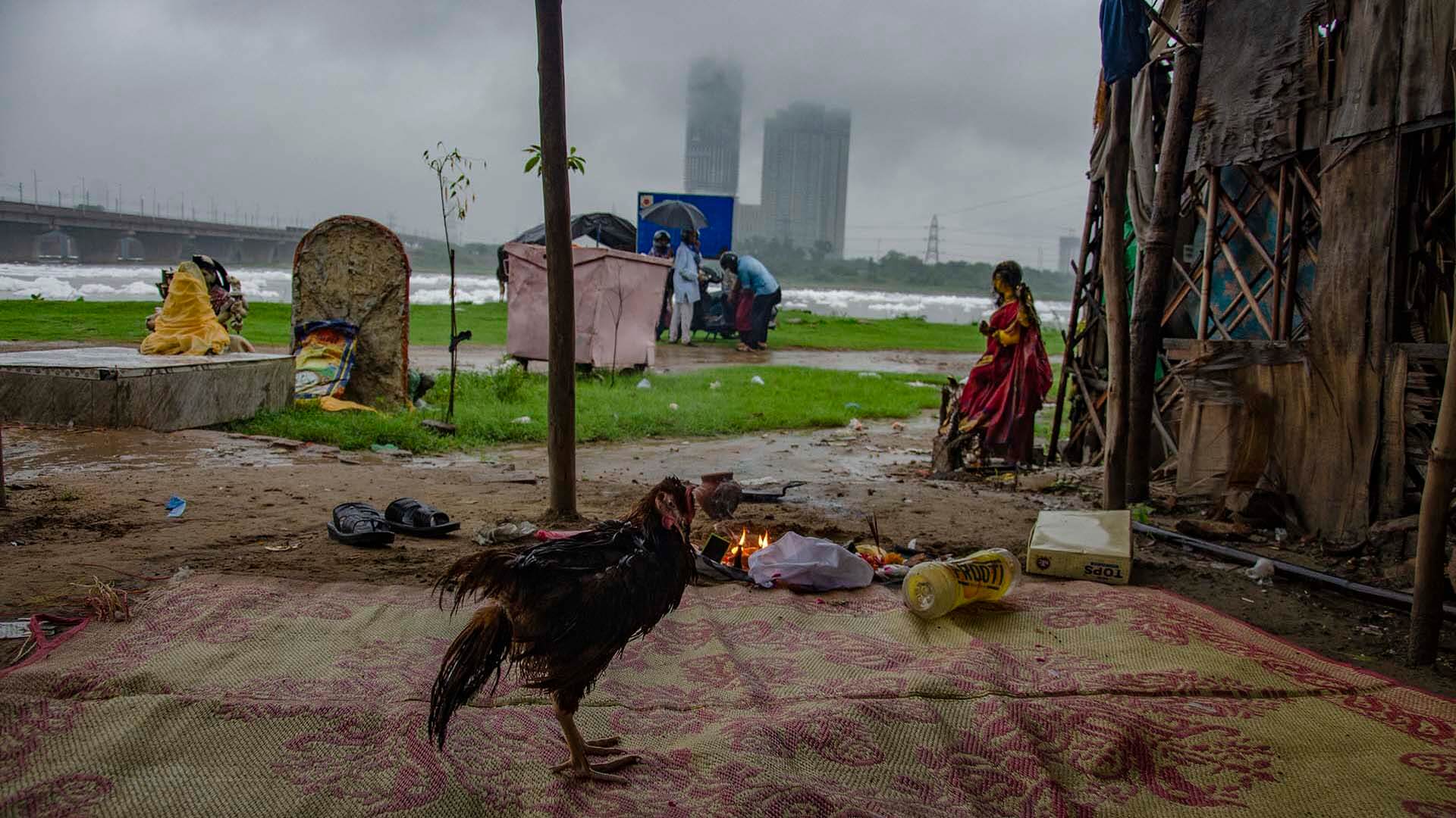 A chicken stands near a small fire on a mat by the Yamuna River, while families gather in the background near foamy, polluted waters under cloudy skies.