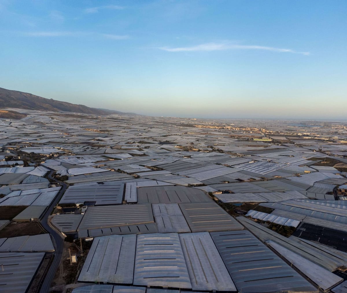 How Almería’s greenhouses are draining its water
