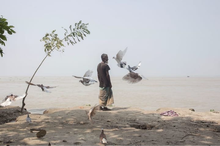 Hashem Kazi feeding pigeons on the last piece of land near the Padma River.