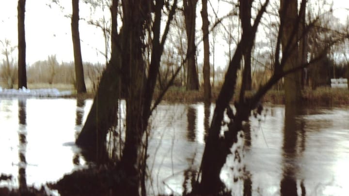 Wat doet een waterschap eigenlijk?